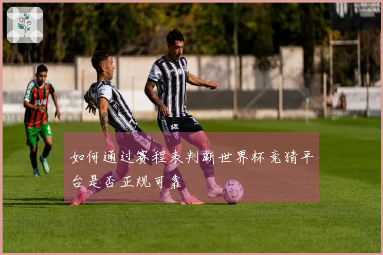 如何通过赛程表判断世界杯竞猜平台是否正规可靠