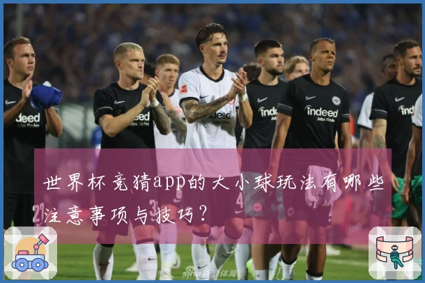 世界杯竞猜app的大小球玩法有哪些注意事项与技巧？
